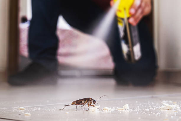Trusted Riverside, OH Pest Control Experts